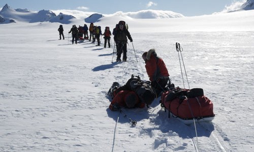 antarctic-press-large-3-500x300